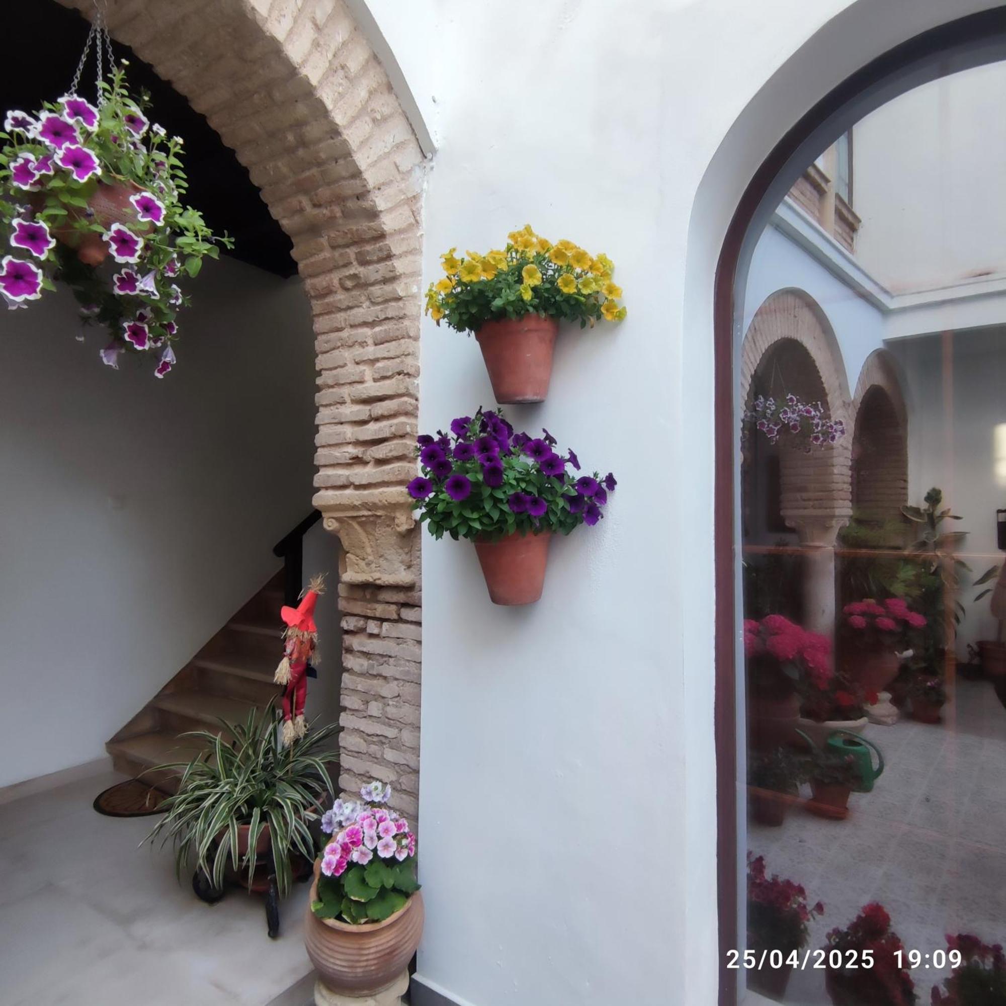 Апартаменты El Patio De Regina Кордова Экстерьер фото