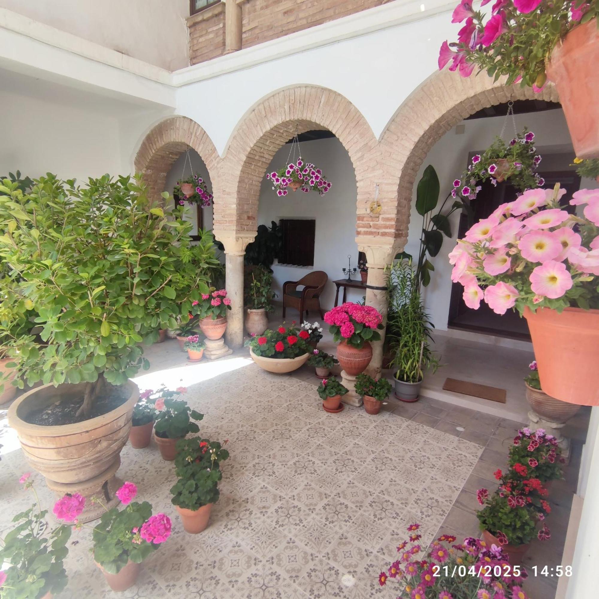 Апартаменты El Patio De Regina Кордова Экстерьер фото